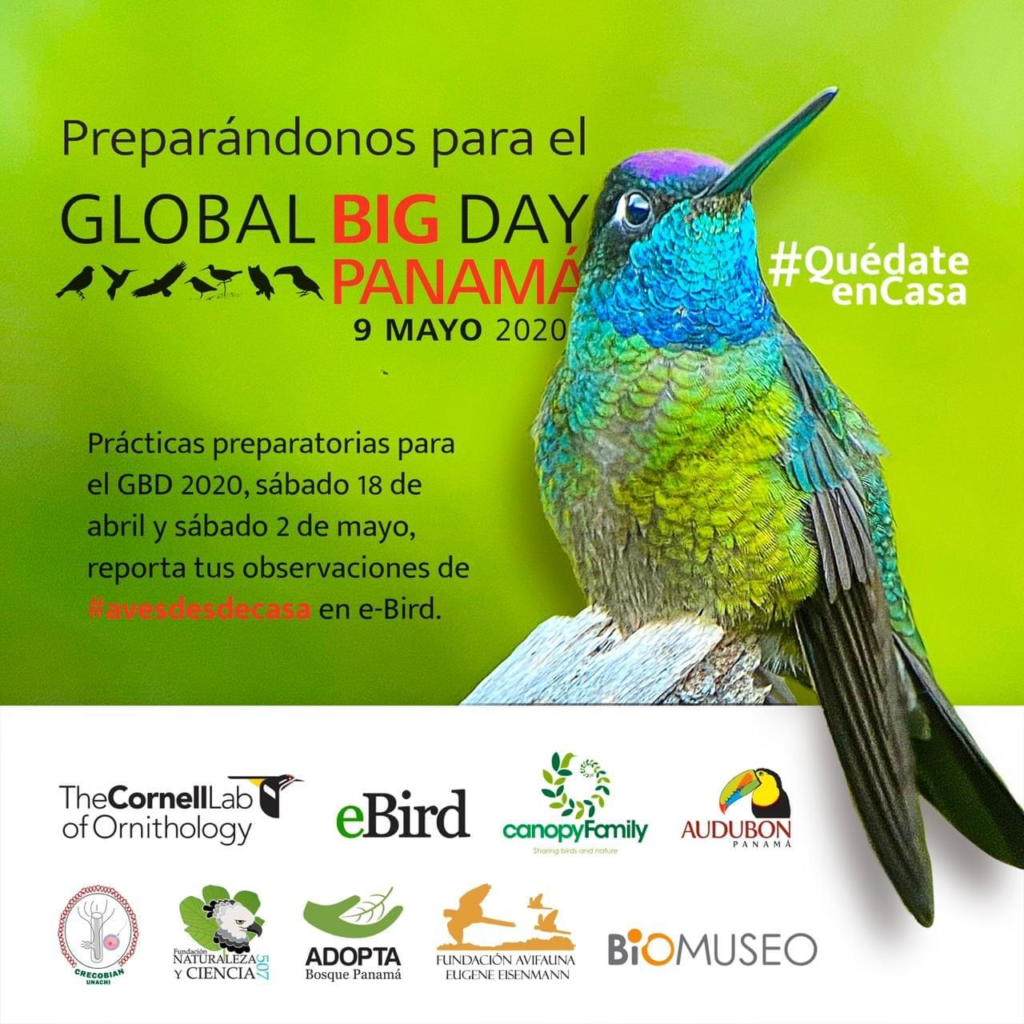 Global Big Day